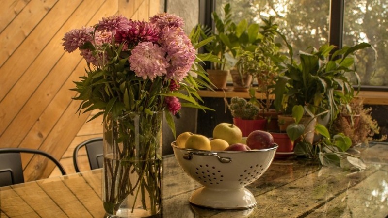 5 цветов-долгожителей для домашнего букета: список растений, которые дольше всего простоят в вазе